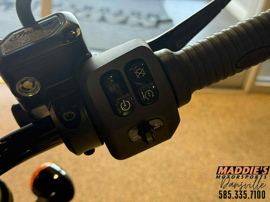 2025 Indian Motorcycle Chief Dark Horse®