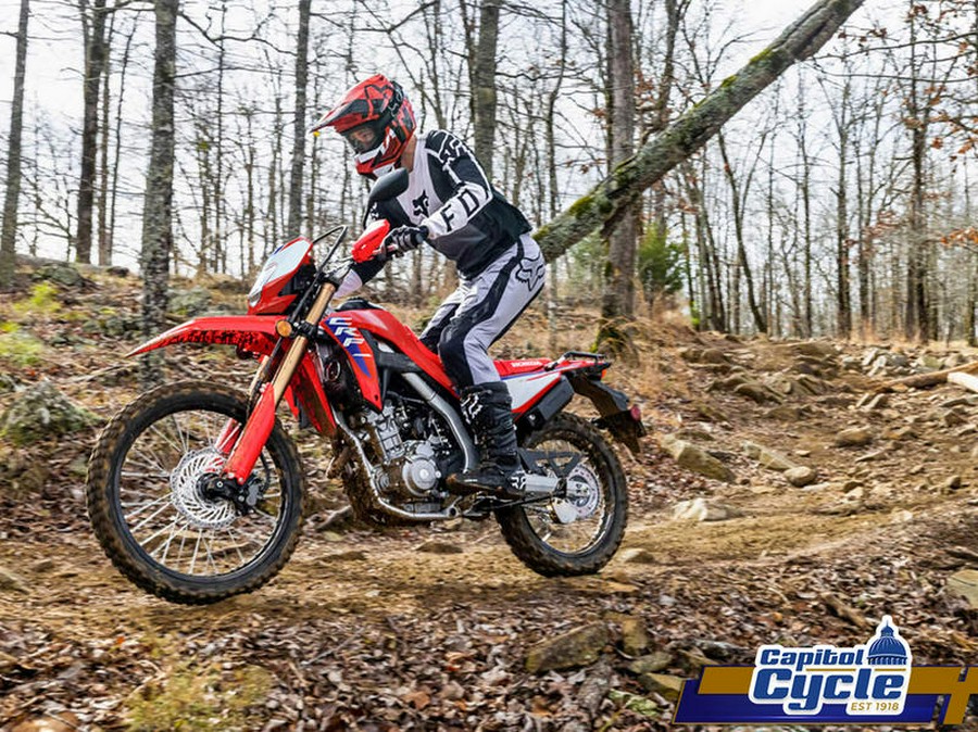 2025 Honda® CRF300L ABS