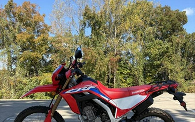 2024 Honda CRF 300L Rally