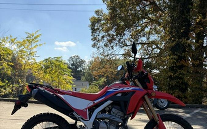 2024 Honda CRF 300L Rally