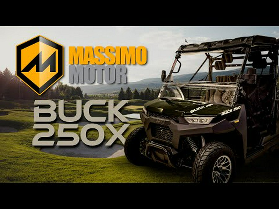 2024 Massimo Buck 250X Golf Cart