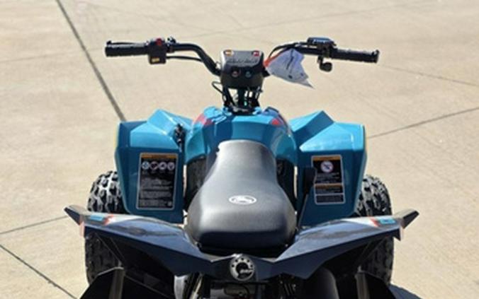 2026 Can-Am Renegade 110 EFI