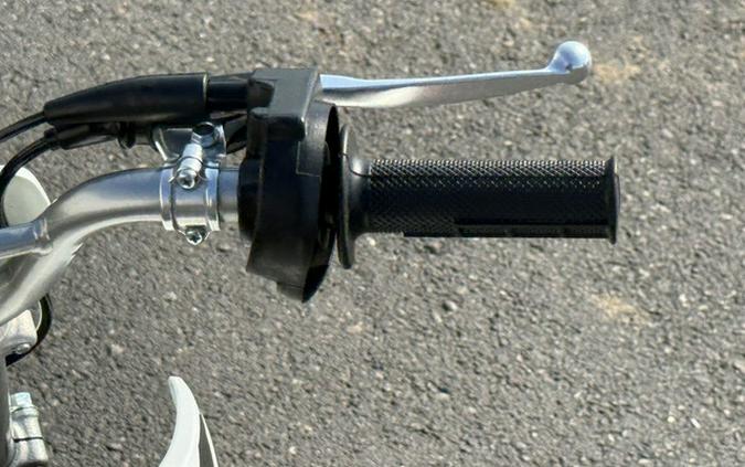 2026 Kawasaki KLX 110R L