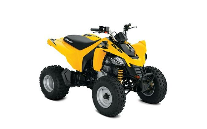 2018 Can-Am® DS 250®