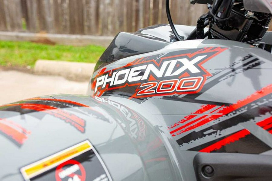 New 2024 Polaris PHOENIX 200