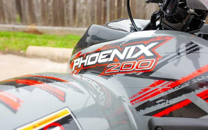 New 2024 Polaris PHOENIX 200