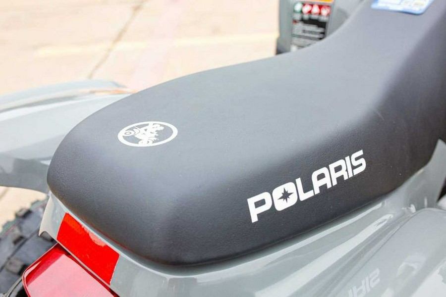 New 2024 Polaris PHOENIX 200