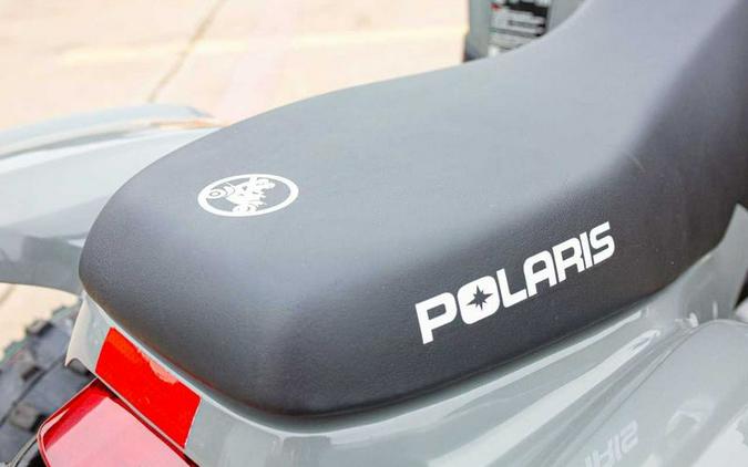 New 2024 Polaris PHOENIX 200