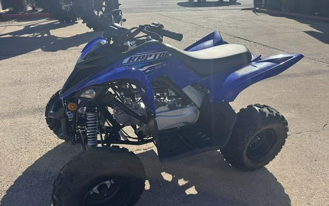 2026 Yamaha Raptor 110