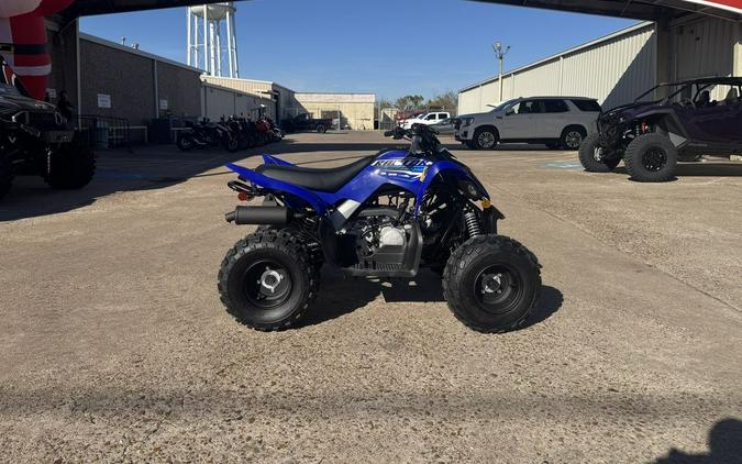 2026 Yamaha Raptor 110
