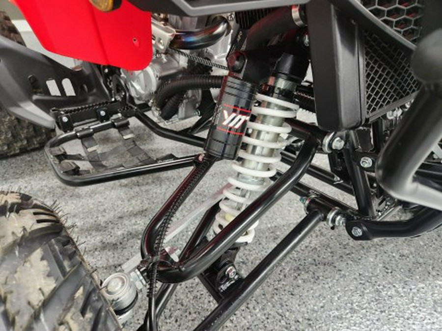2026 Kayo STORM 300