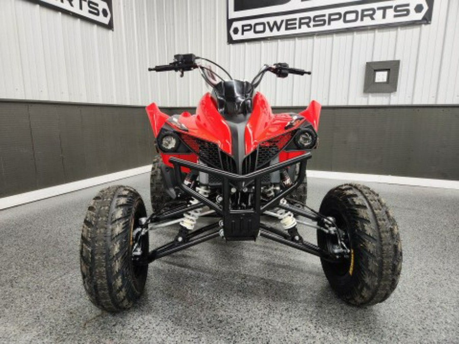 2026 Kayo STORM 300