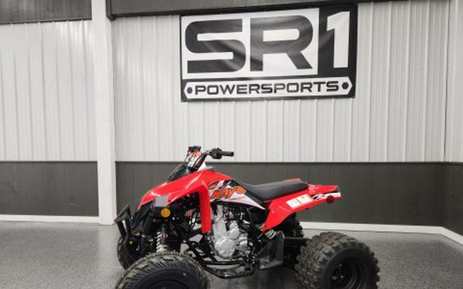 2026 Kayo STORM 300