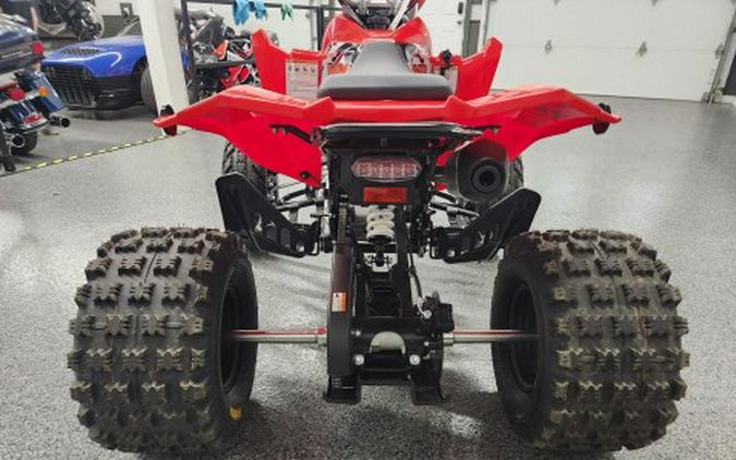 2026 Kayo STORM 300