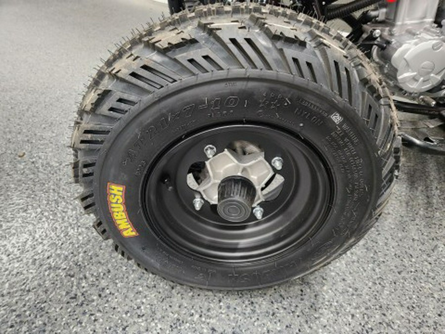 2026 Kayo STORM 300