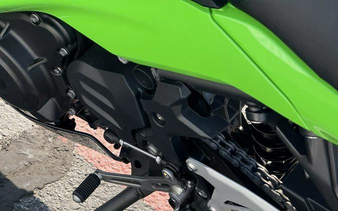 2026 Kawasaki Ninja 500