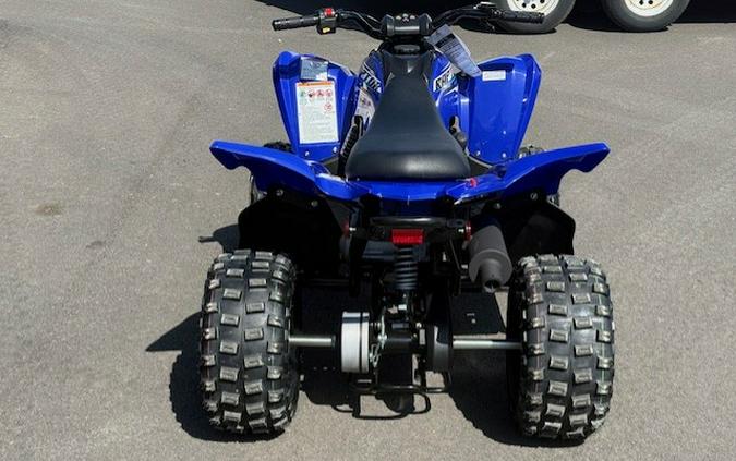 2026 Raptor 110 - Yamaha