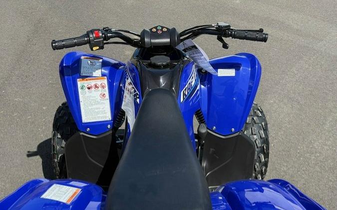 2026 Raptor 110 - Yamaha