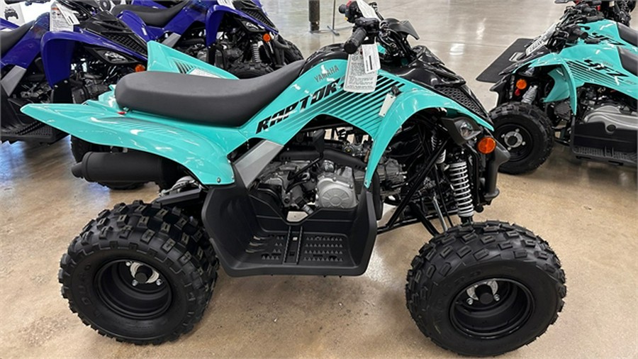 2025 Yamaha Raptor 110