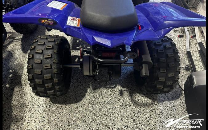 2024 Yamaha Raptor 110