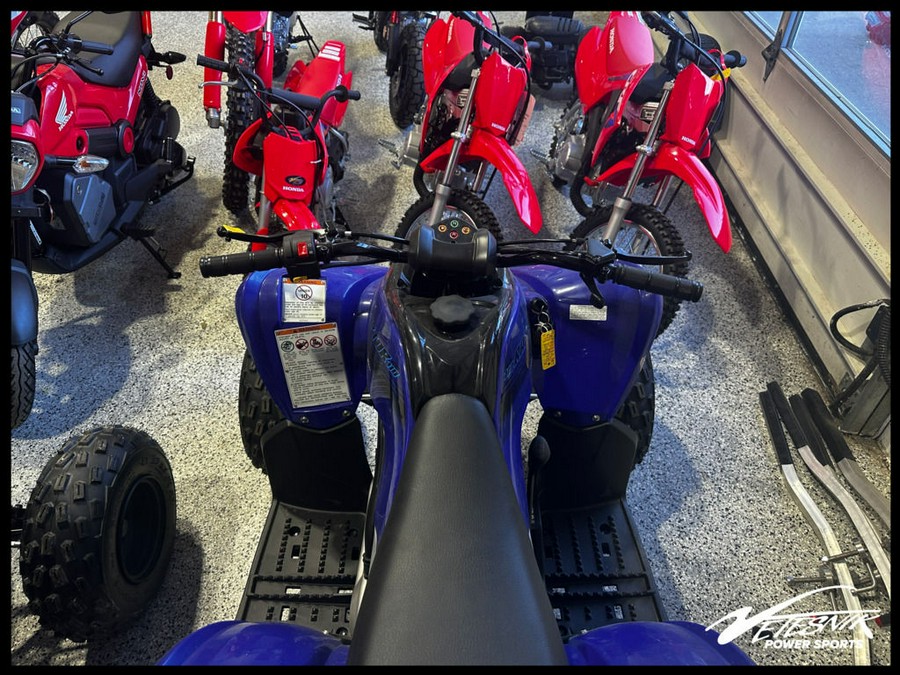 2024 Yamaha Raptor 110