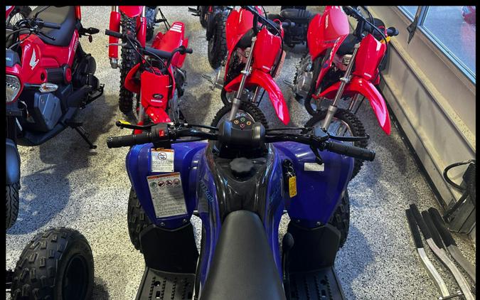 2024 Yamaha Raptor 110