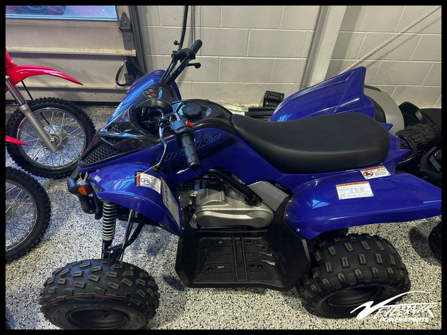 2024 Yamaha Raptor 110