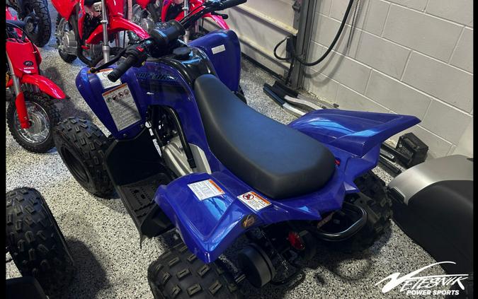 2024 Yamaha Raptor 110