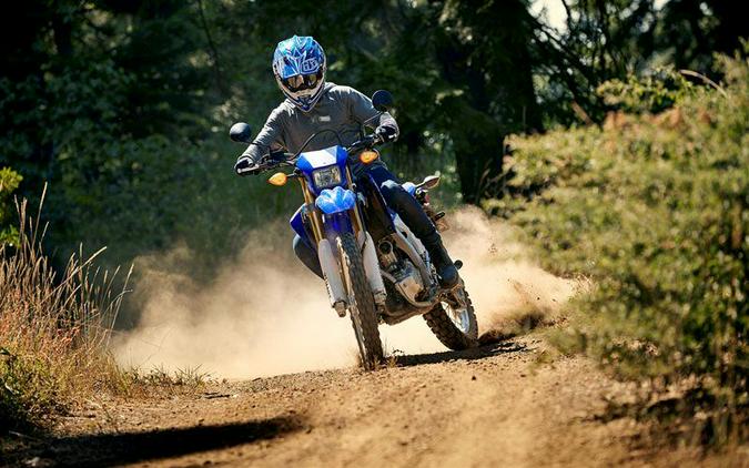 2020 Yamaha WR250R