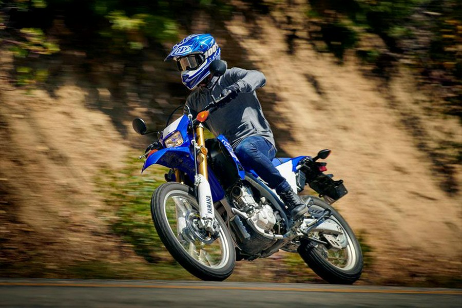 2020 Yamaha WR250R