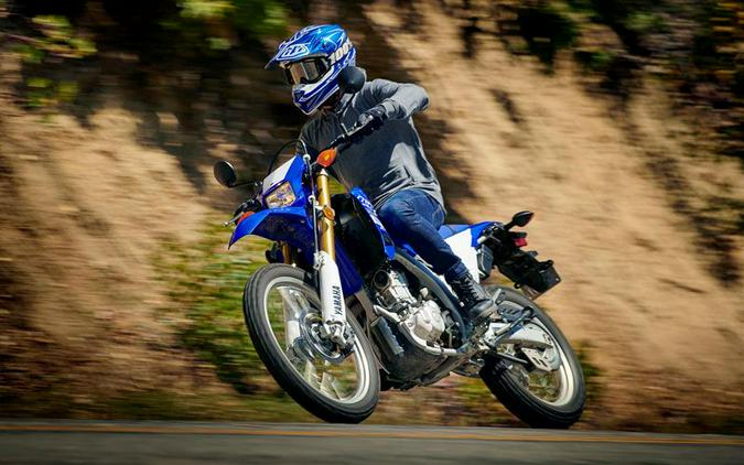 2020 Yamaha WR250R