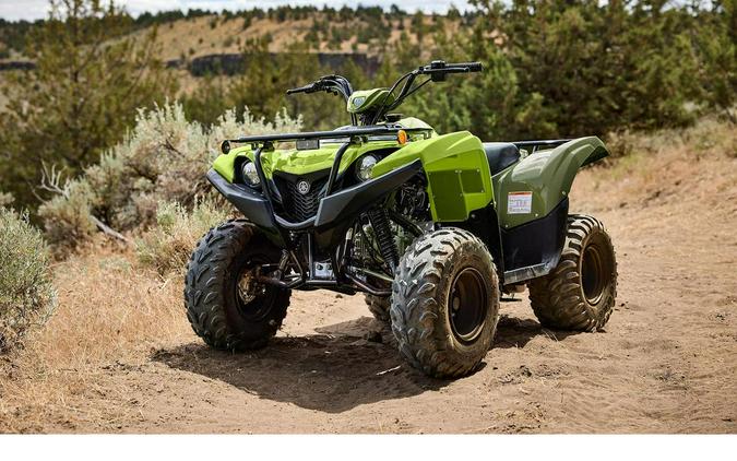 2027 Yamaha GRIZZLY 110