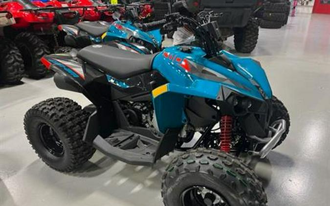 2024 Can-Am Renegade 110 EFI