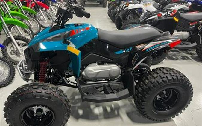 2024 Can-Am Renegade 110 EFI