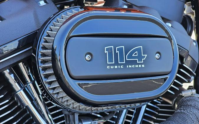 2021 Harley-Davidson® Street Bob® Custom Color