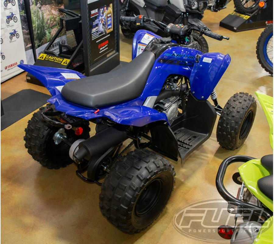 2025 Yamaha Raptor 110