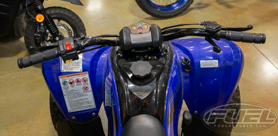 2025 Yamaha Raptor 110