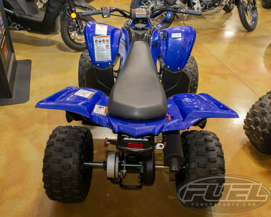 2025 Yamaha Raptor 110