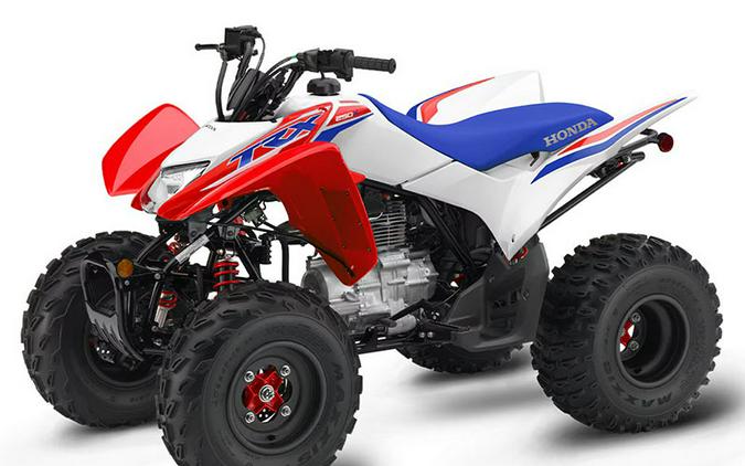 2025 Honda TRX250X