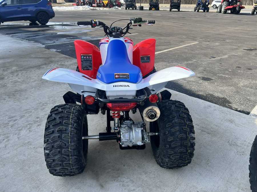 2026 Honda TRX250X