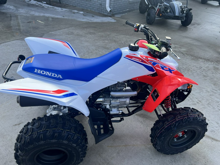 2026 Honda TRX250X