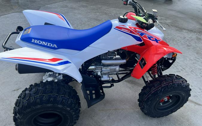 2026 Honda TRX250X