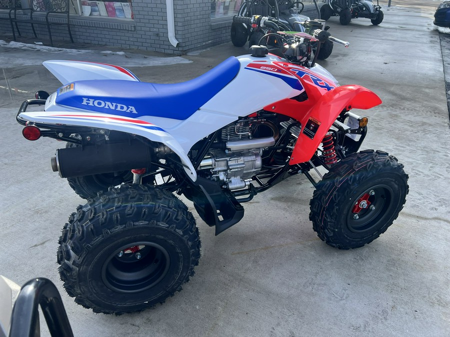 2026 Honda TRX250X