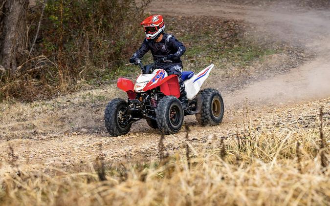 2025 Honda TRX250X