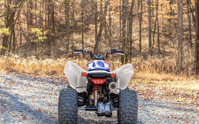 2025 Honda TRX250X