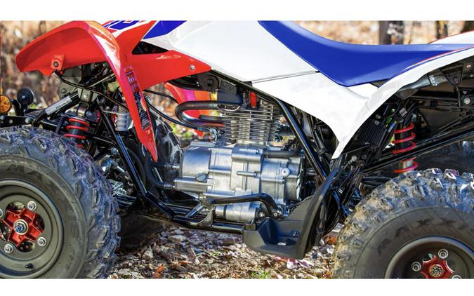 2025 Honda TRX250X