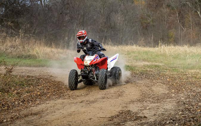 2025 Honda TRX250X