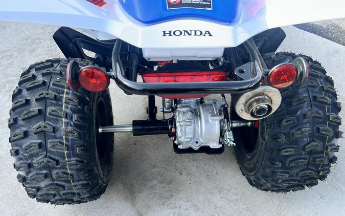 2026 Honda TRX250X