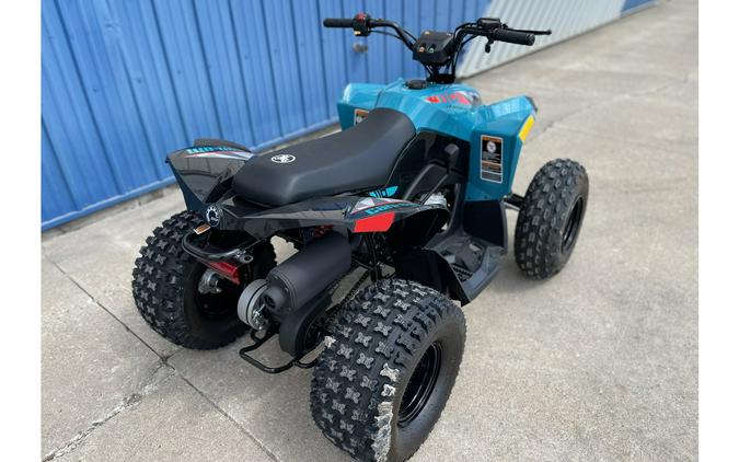 2024 Can-Am Renegade 110 EFI