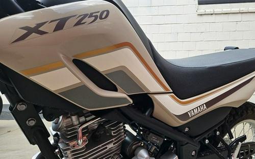 2018 Yamaha XT 250